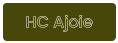 HC Ajoie